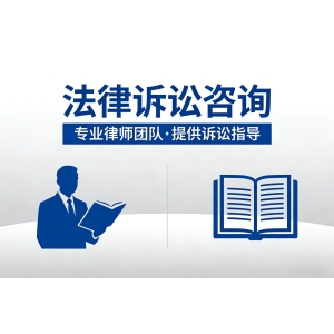 法律诉讼咨询